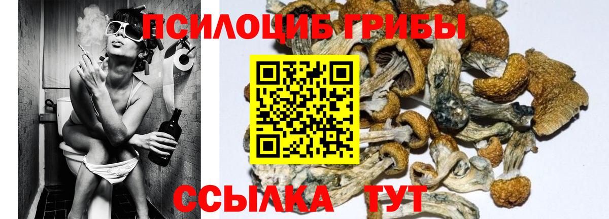 Галлюциногенные грибы Psilocybine cubensis  Вход с VPN  наркотики  Псков 